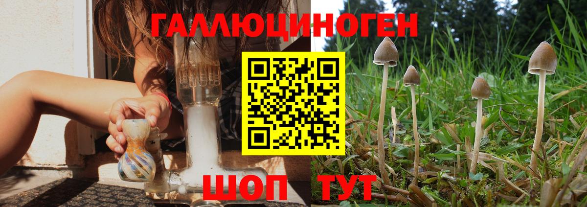 Великий Новгород  Галлюциногенные грибы мицелий  Вход с VPN  Галлюциногенные грибы GOLDEN TEACHER 