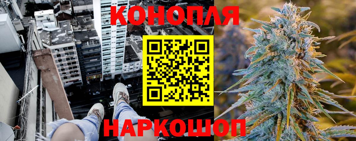 Шишки марихуана план Великий Новгород